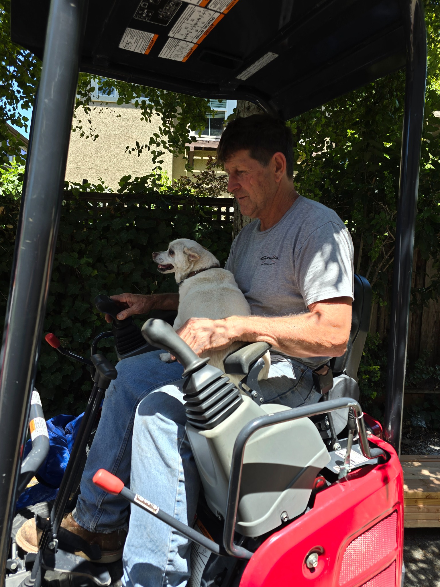 Steve Guzzetta on a mini excavator with a dog nearby
